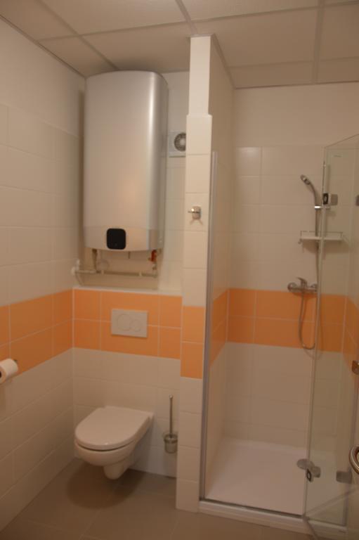 Penzion Havelka Apartmany Zelezna Ruda Ngoại thất bức ảnh